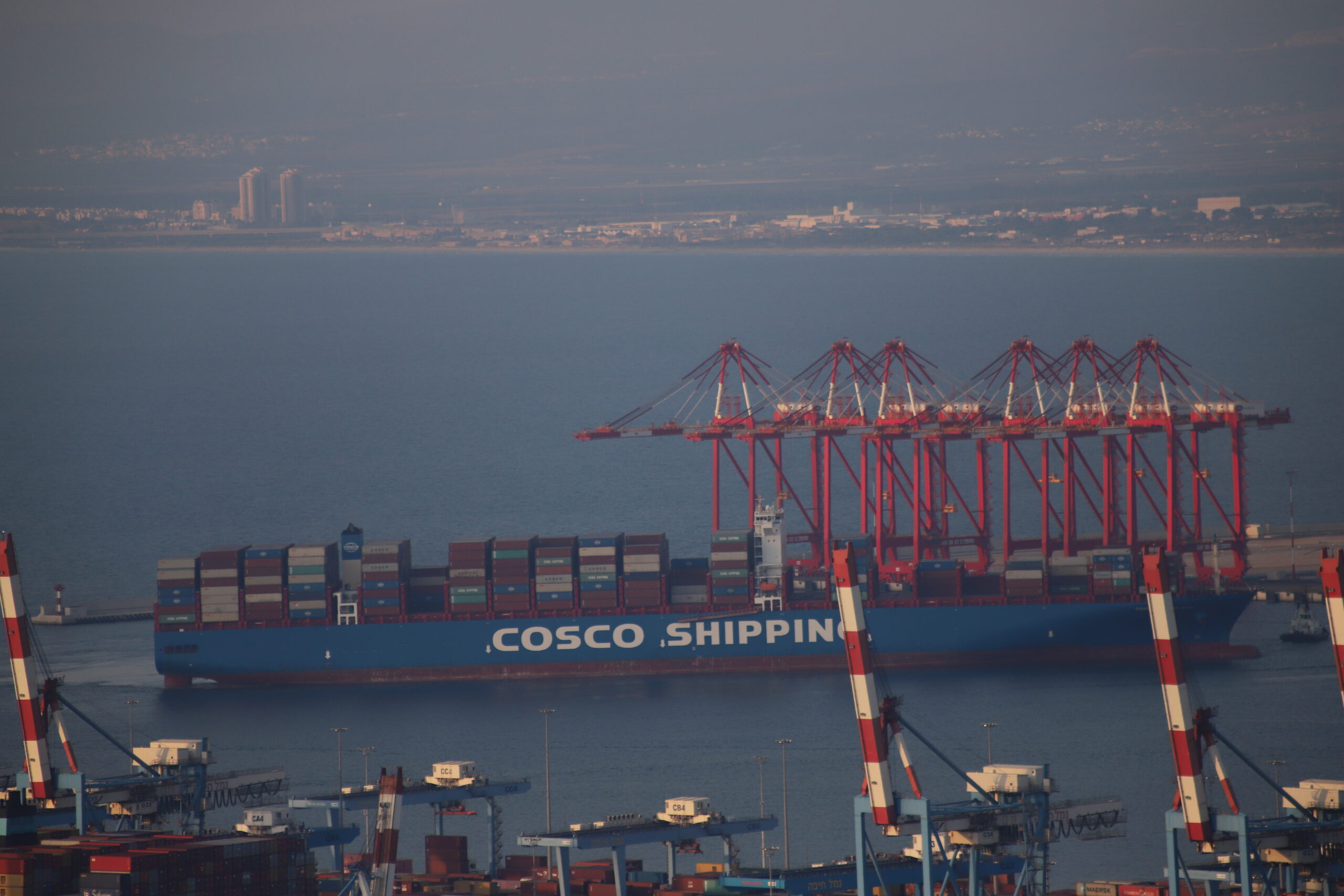 China: When Invasive Species Come With the Cargo